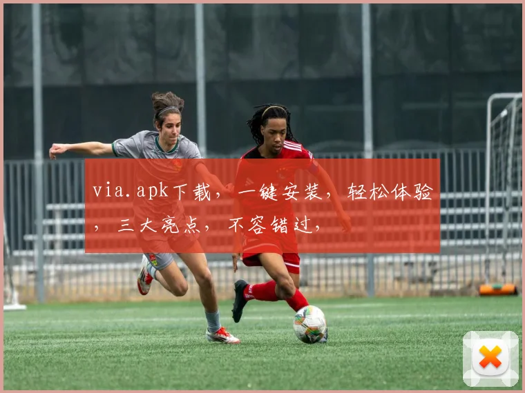 via.apk下载，一键安装，轻松体验，三大亮点，不容错过，