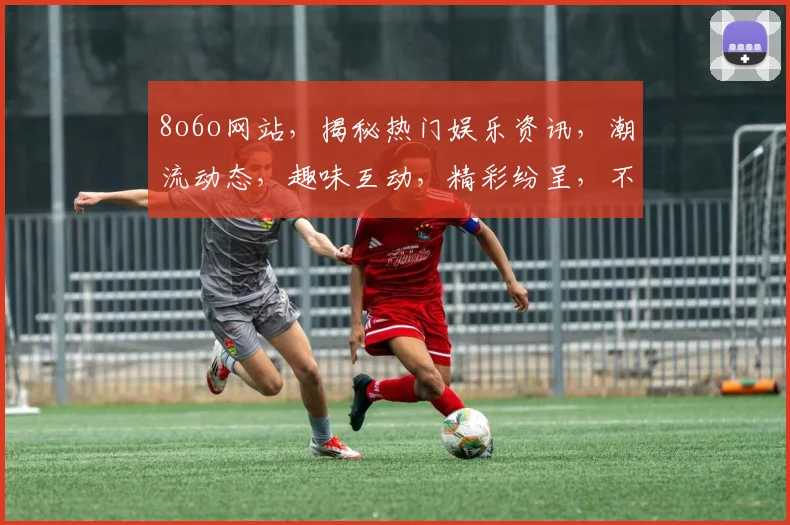 8o6o网站，揭秘热门娱乐资讯，潮流动态，趣味互动，精彩纷呈，不容错过